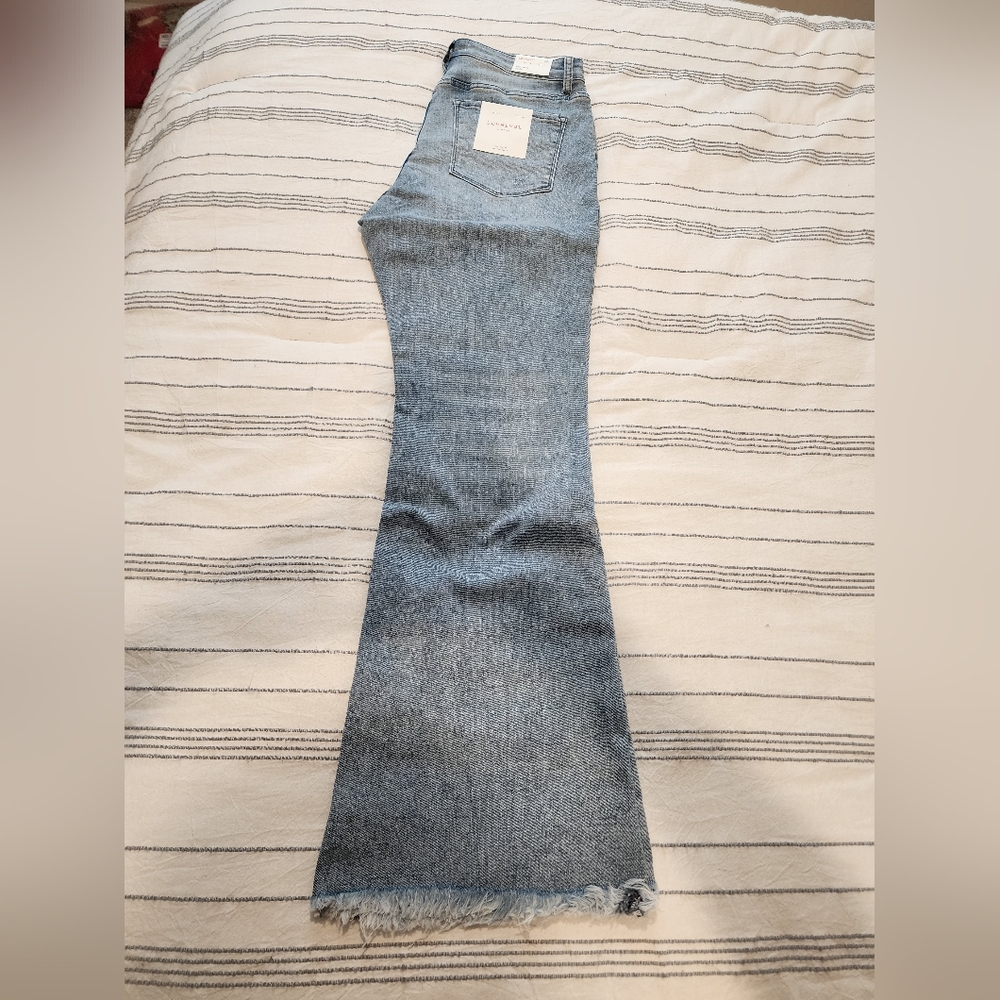 Women's Lovervet Blue Denim Jeans Brand New With Tags. Size 14w. High Rise Flare